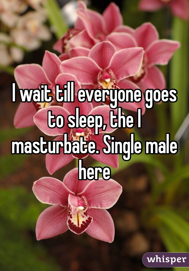 I wait till everyone goes to sleep, the I masturbate. Single male here 