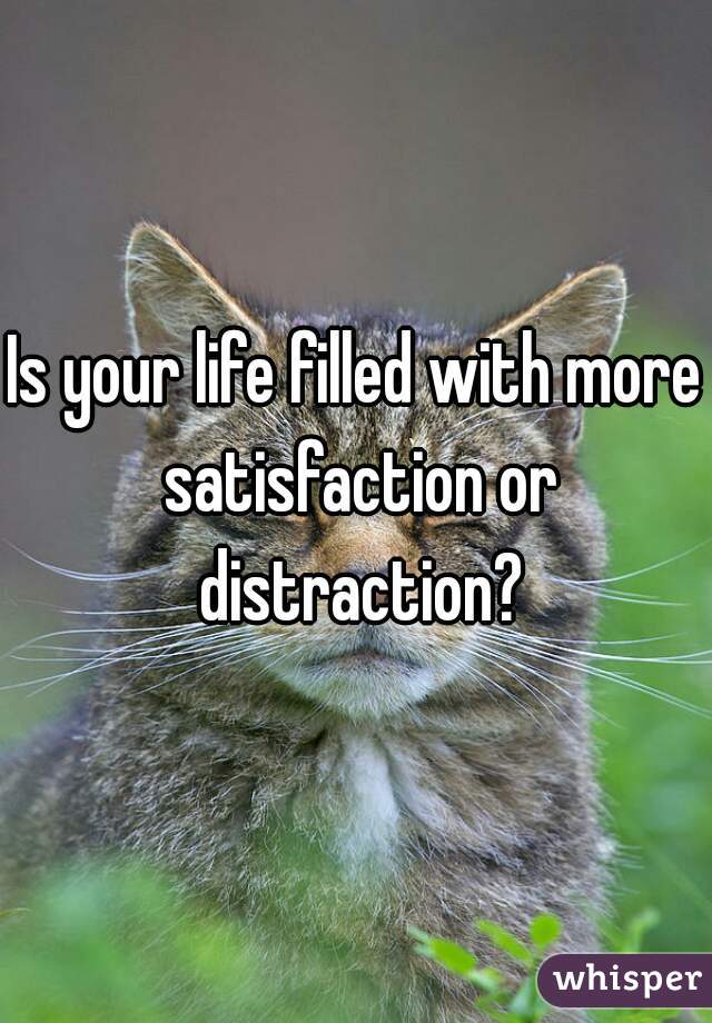Is your life filled with more satisfaction or distraction?