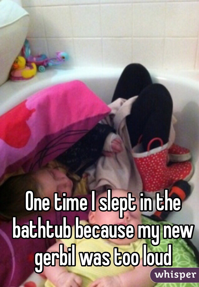 One time I slept in the bathtub because my new gerbil was too loud