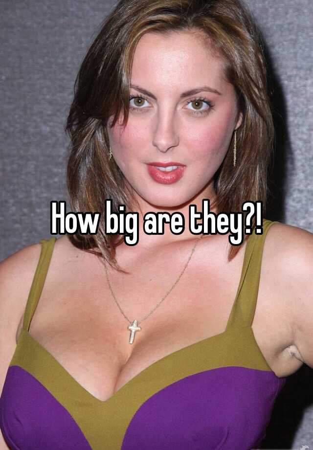 how-big-are-they