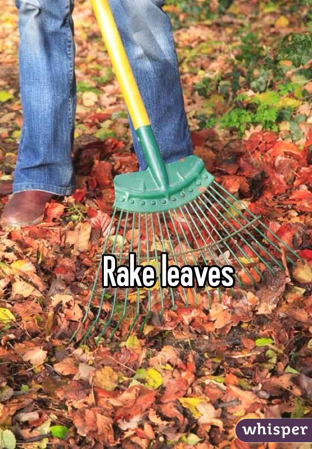 Rake leaves