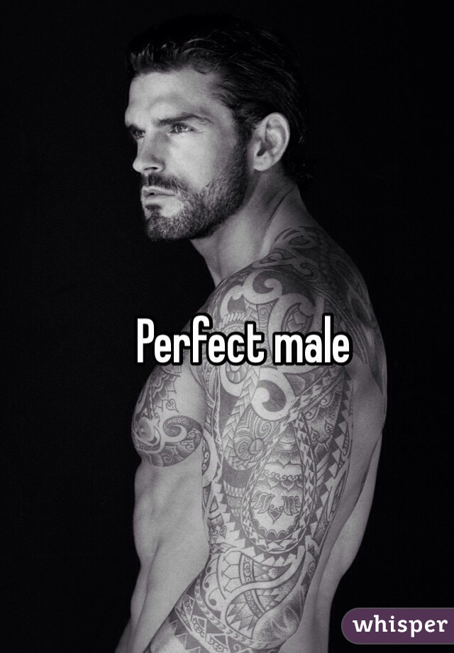 Perfect male