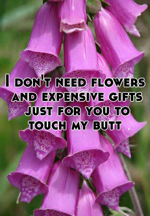 i-don-t-need-flowers-and-expensive-gifts-just-for-you-to-touch-my-butt