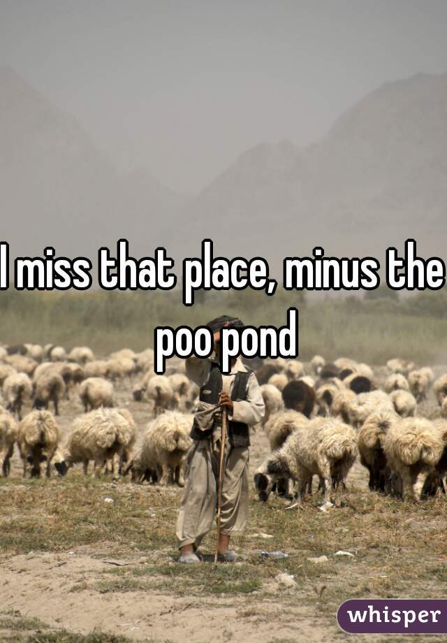 I miss that place, minus the poo pond