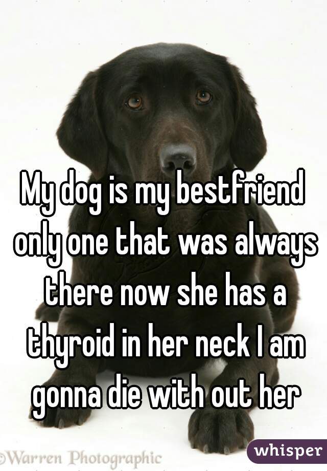 My dog is my bestfriend only one that was always there now she has a thyroid in her neck I am gonna die with out her