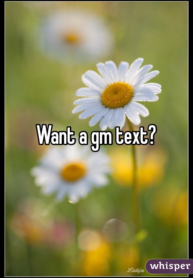 Want a gm text?