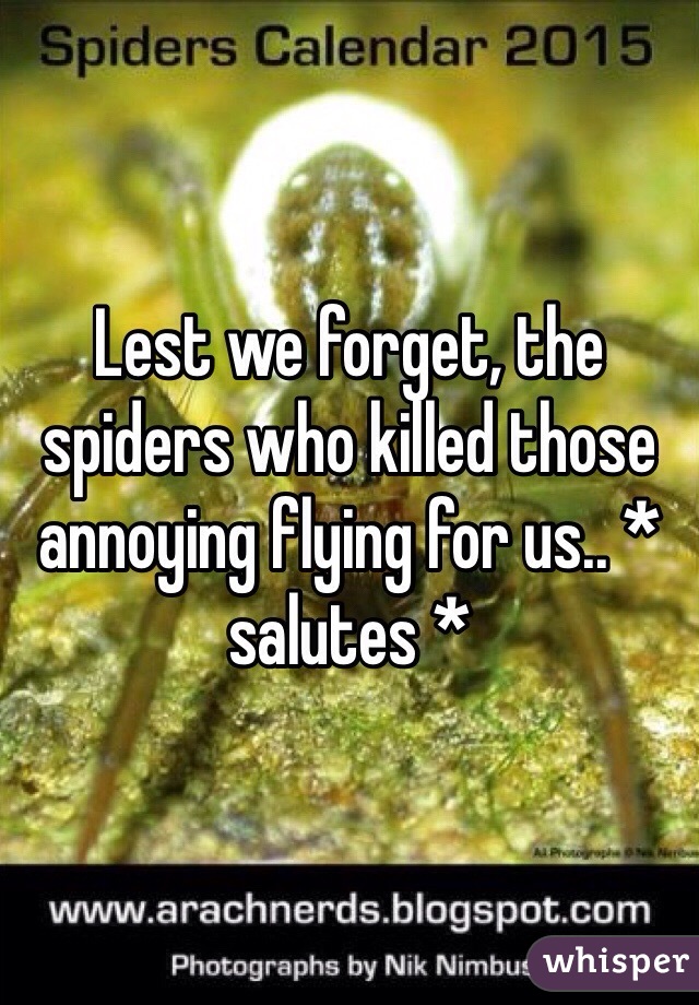 Lest we forget, the spiders who killed those annoying flying for us.. * salutes *