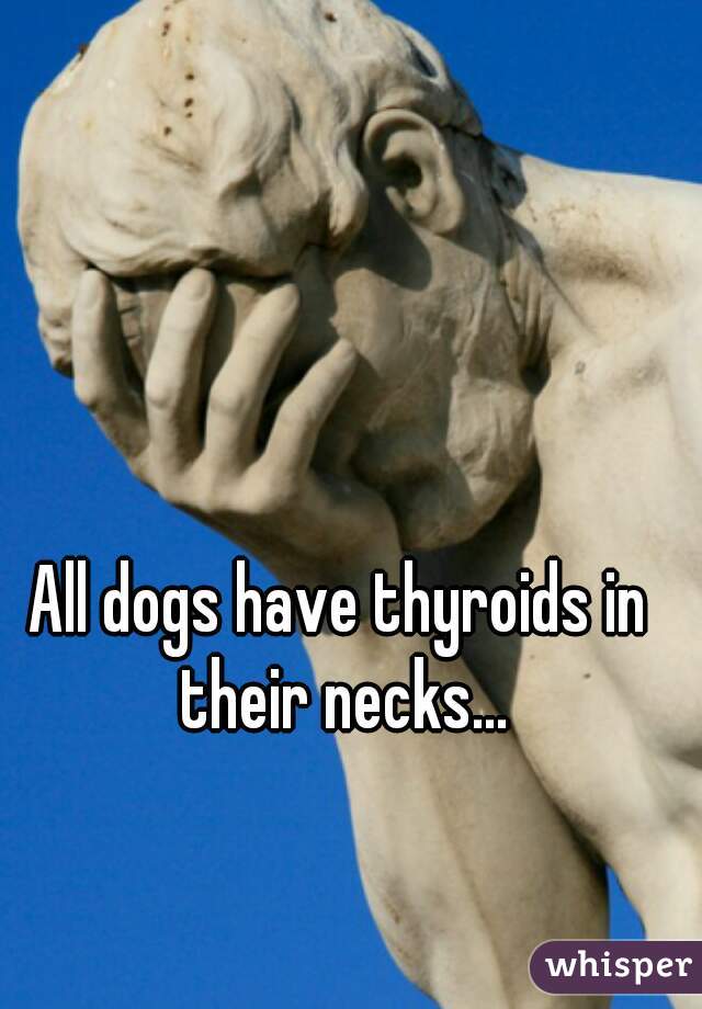 All dogs have thyroids in their necks...