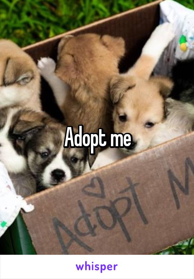 Adopt me