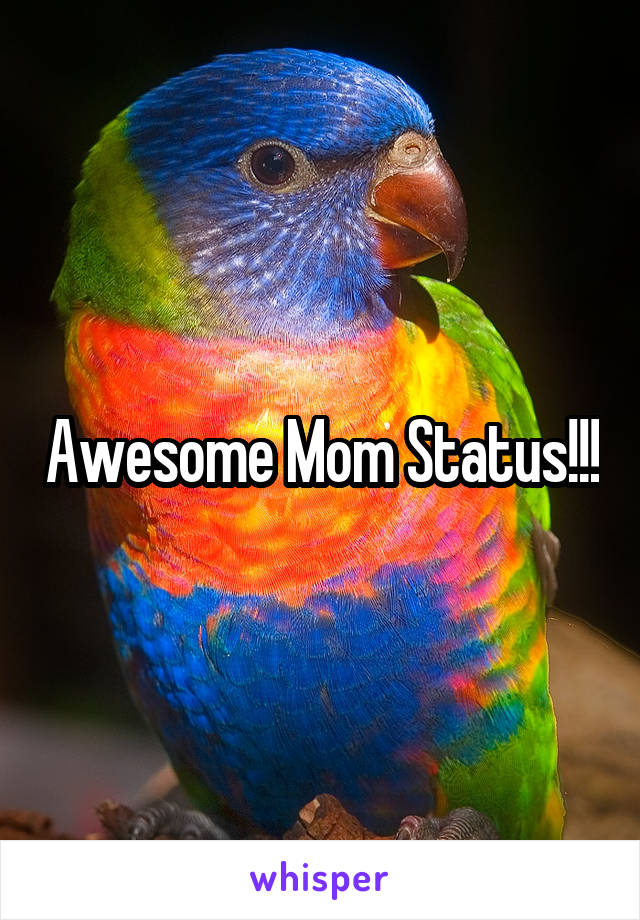 Awesome Mom Status!!!