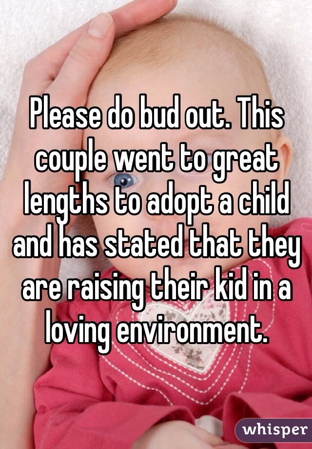 Please do bud out. This couple went to great lengths to adopt a child and has stated that they are raising their kid in a loving environment.