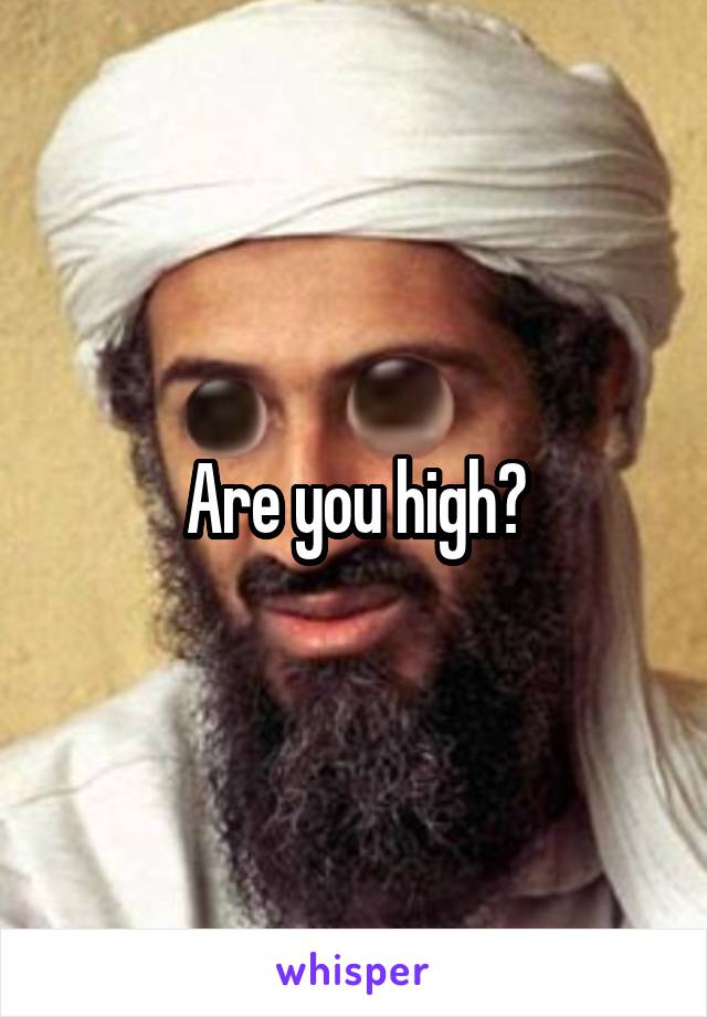 Are you high?