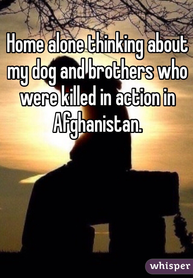 Home alone thinking about my dog and brothers who were killed in action in Afghanistan. 