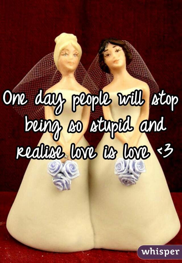 One day people will stop being so stupid and realise love is love <3
