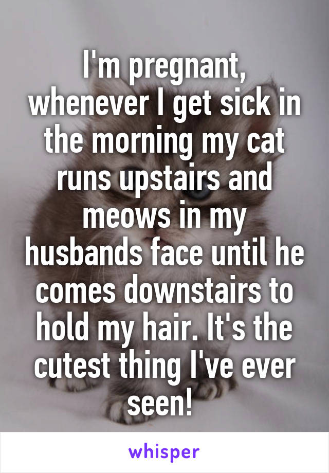 I'm pregnant, whenever I get sick in the morning my cat runs upstairs and meows in my husbands face until he comes downstairs to hold my hair. It's the cutest thing I've ever seen! 