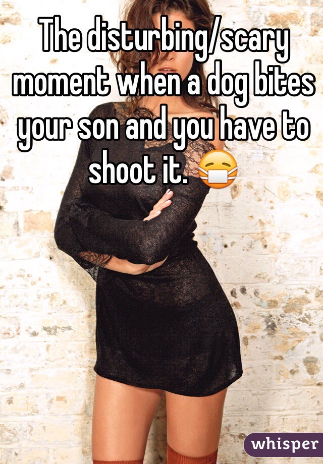The disturbing/scary moment when a dog bites your son and you have to shoot it. 😷