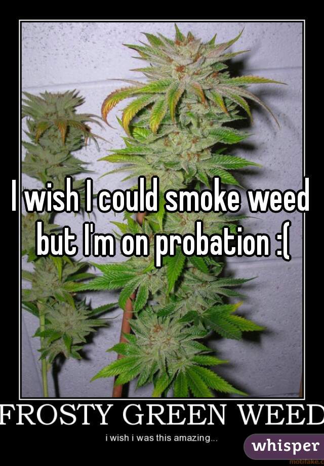 I wish I could smoke weed but I'm on probation :(