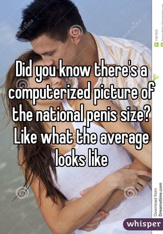 Did you know there's a computerized picture of the national penis size? Like what the average looks like