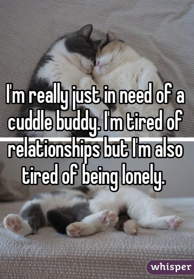 I'm really just in need of a cuddle buddy. I'm tired of relationships but I'm also tired of being lonely. 