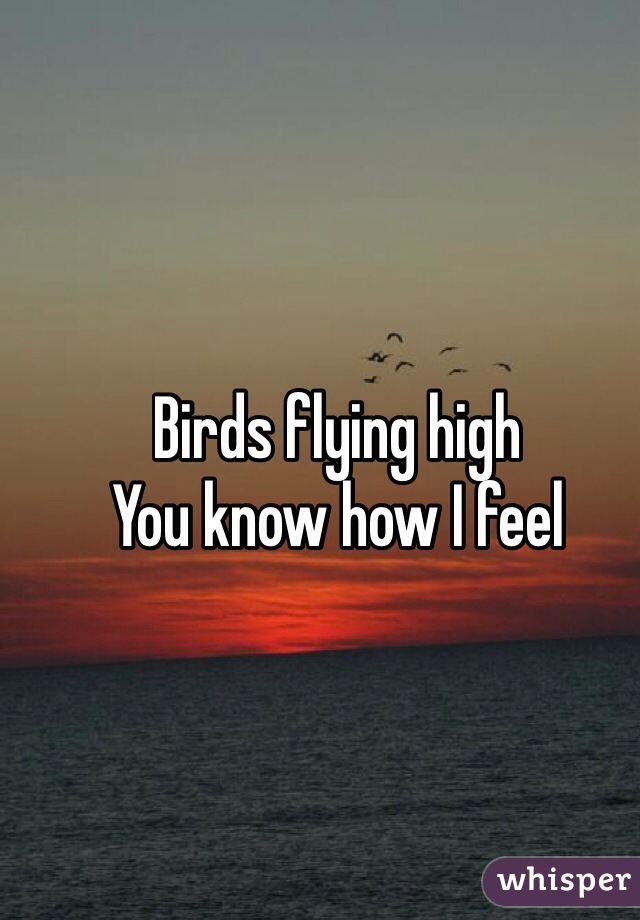 Birds flying high
You know how I feel