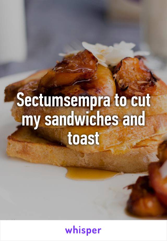 Sectumsempra to cut my sandwiches and toast