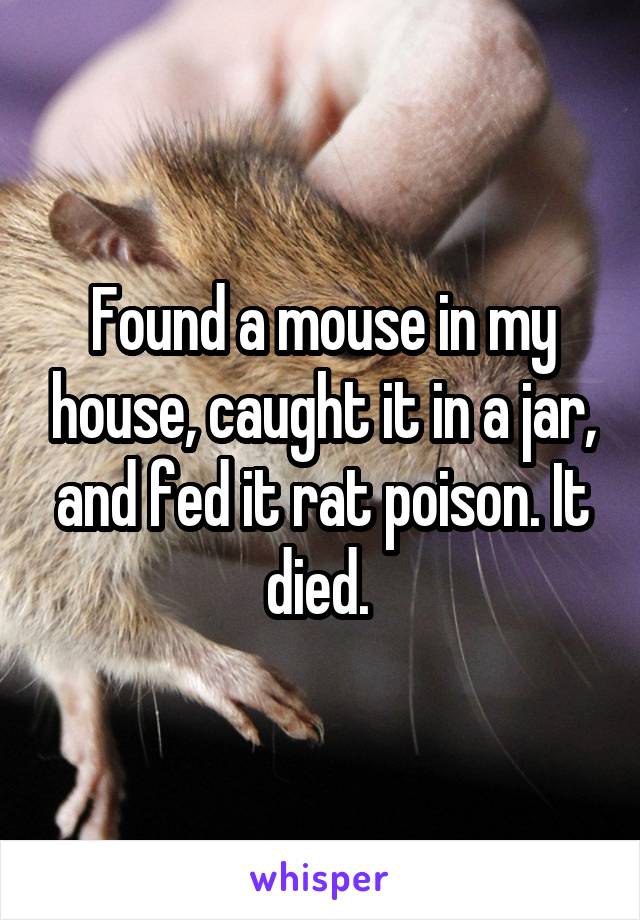 Found a mouse in my house, caught it in a jar, and fed it rat poison. It died. 