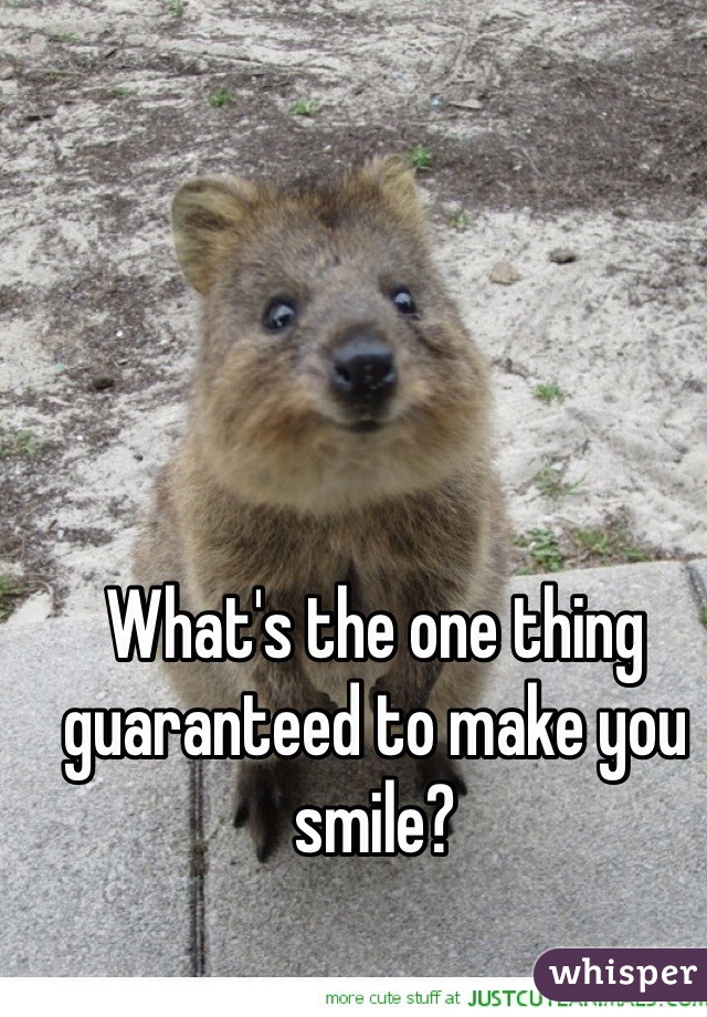 What's the one thing guaranteed to make you smile?