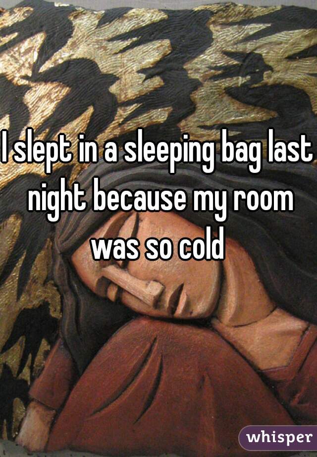 I slept in a sleeping bag last night because my room was so cold 