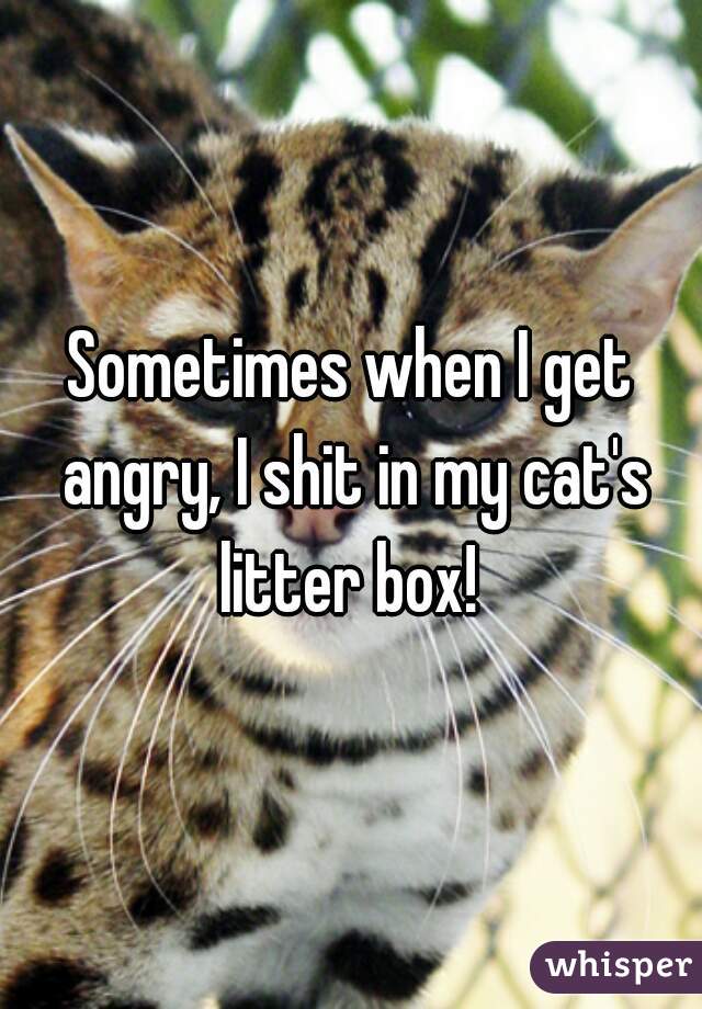 Sometimes when I get angry, I shit in my cat's litter box! 