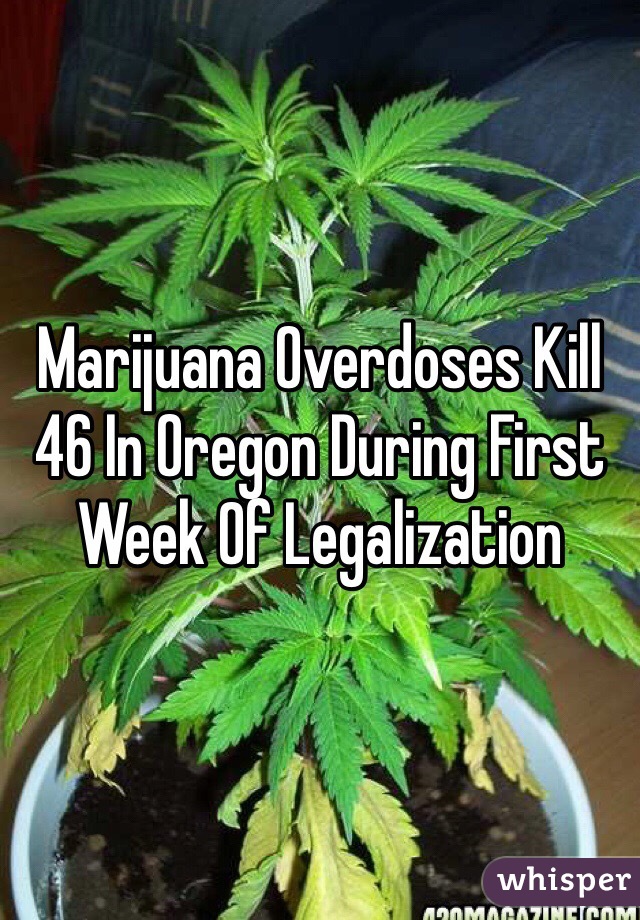 Marijuana Overdoses Kill 46 In Oregon During First Week Of Legalization