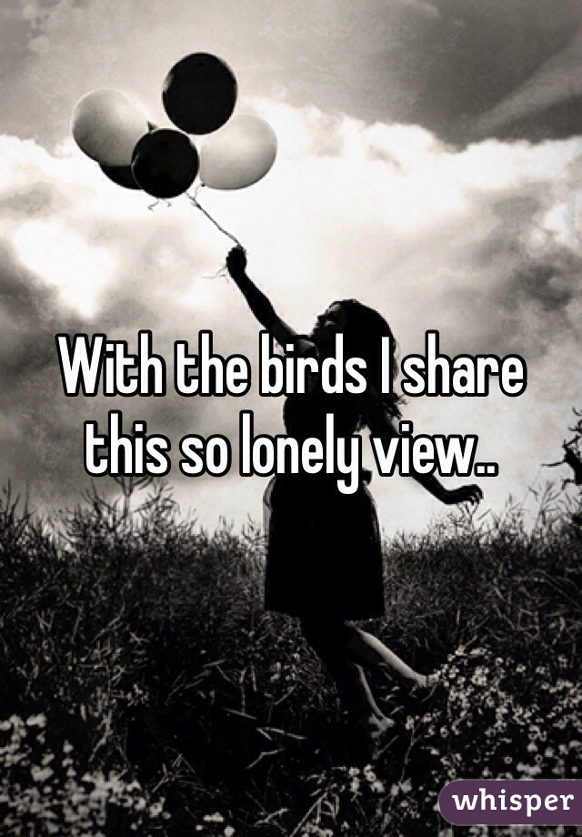 With the birds I share this so lonely view..