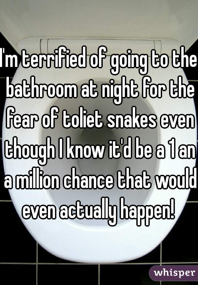 I'm terrified of going to the bathroom at night for the fear of toliet snakes even though I know it'd be a 1 an a million chance that would even actually happen! 
