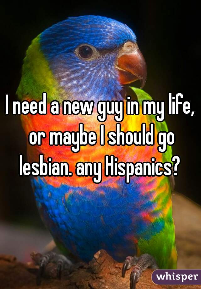 I need a new guy in my life, or maybe I should go lesbian. any Hispanics? 