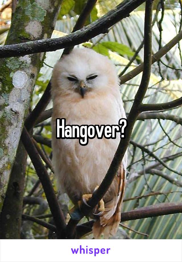 Hangover?