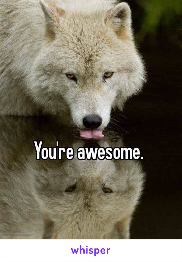 You're awesome. 
