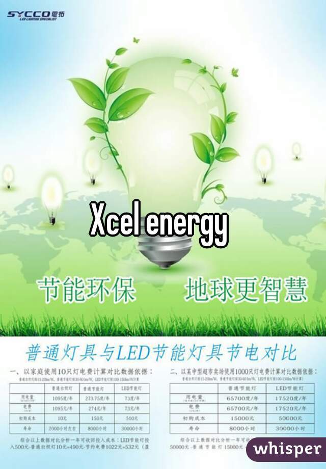 Xcel energy 