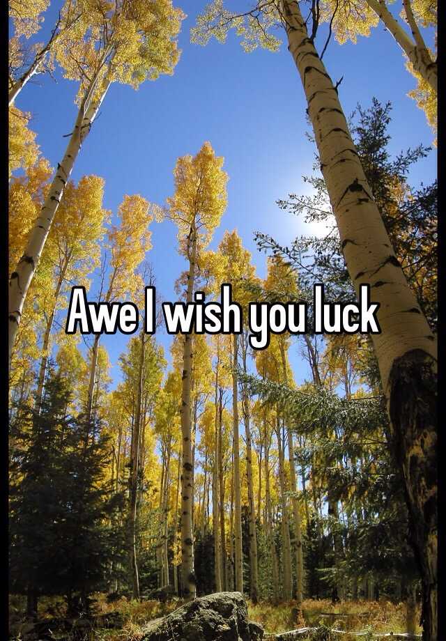 awe-i-wish-you-luck