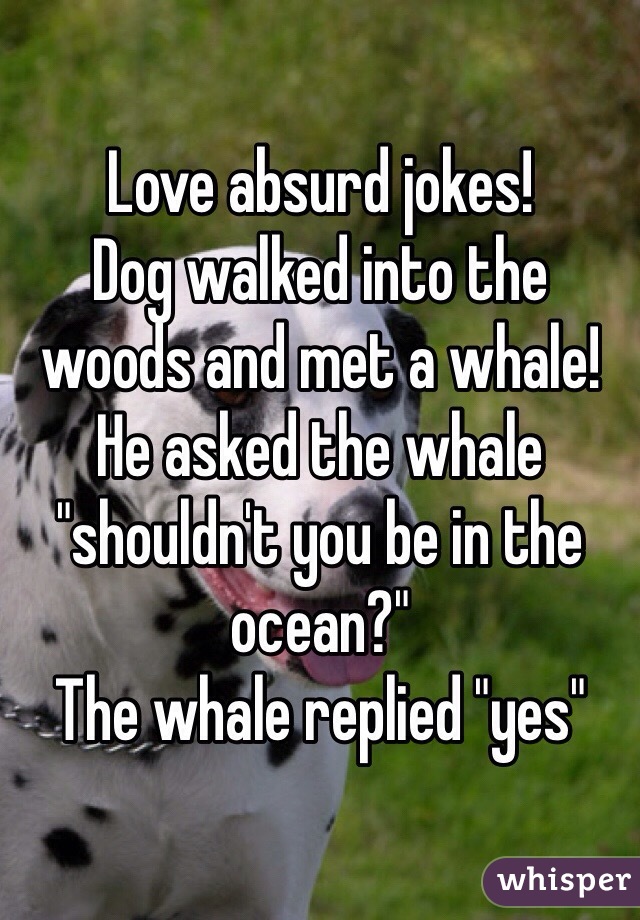 Love absurd jokes! 
Dog walked into the woods and met a whale! He asked the whale "shouldn't you be in the ocean?" 
The whale replied "yes" 
