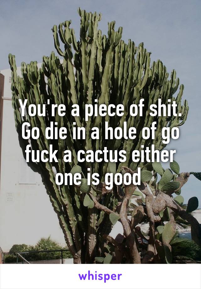 You're a piece of shit. Go die in a hole of go fuck a cactus either one is good 