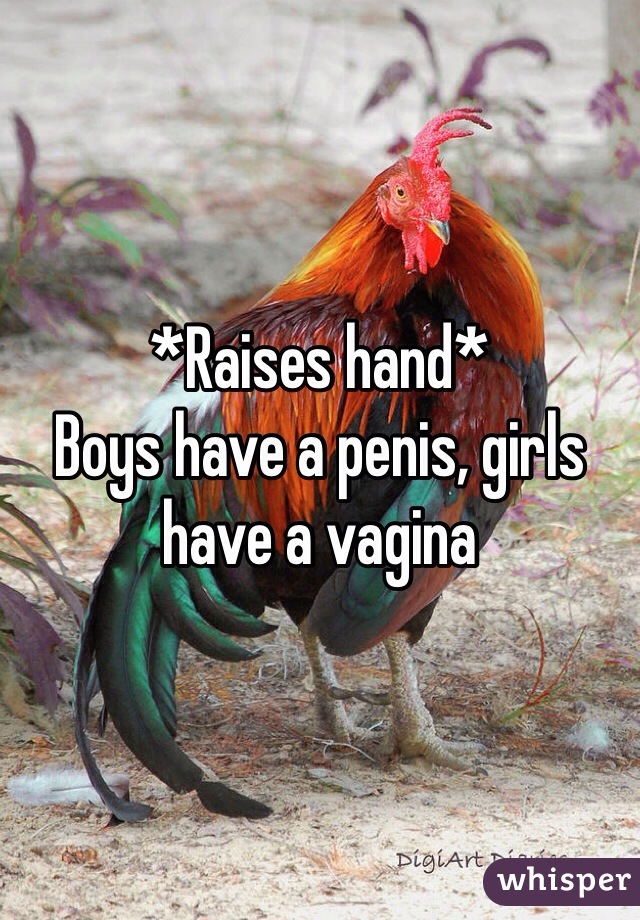 *Raises hand*
Boys have a penis, girls have a vagina