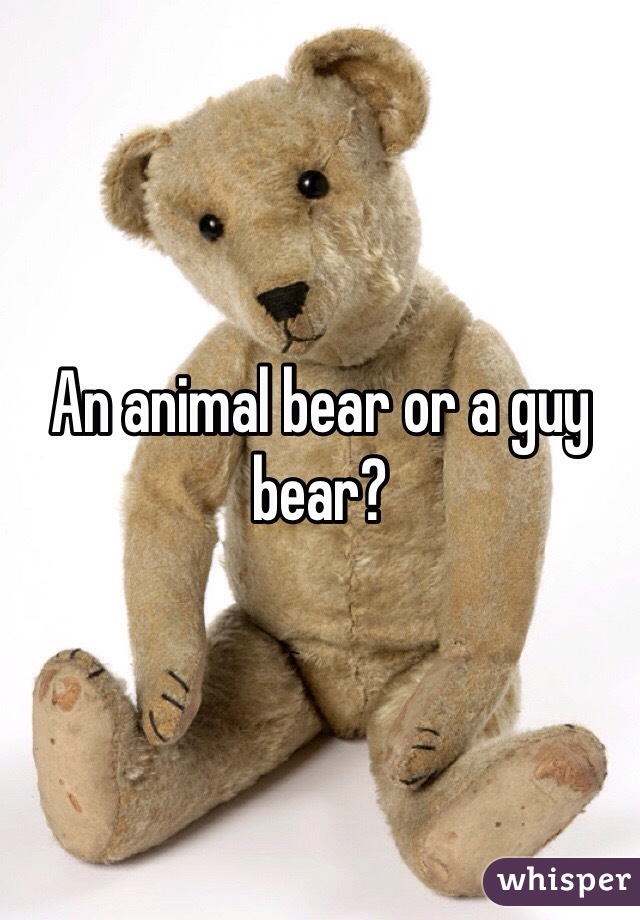 An animal bear or a guy bear?