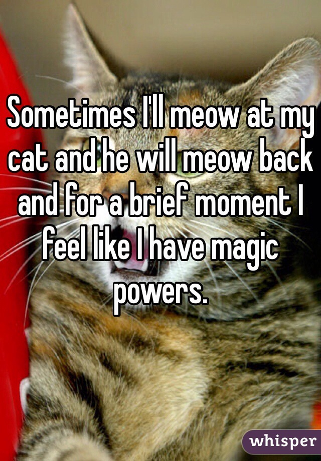 Sometimes I'll meow at my cat and he will meow back and for a brief moment I feel like I have magic powers. 