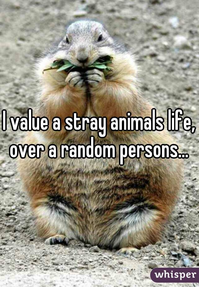 I value a stray animals life, over a random persons... 