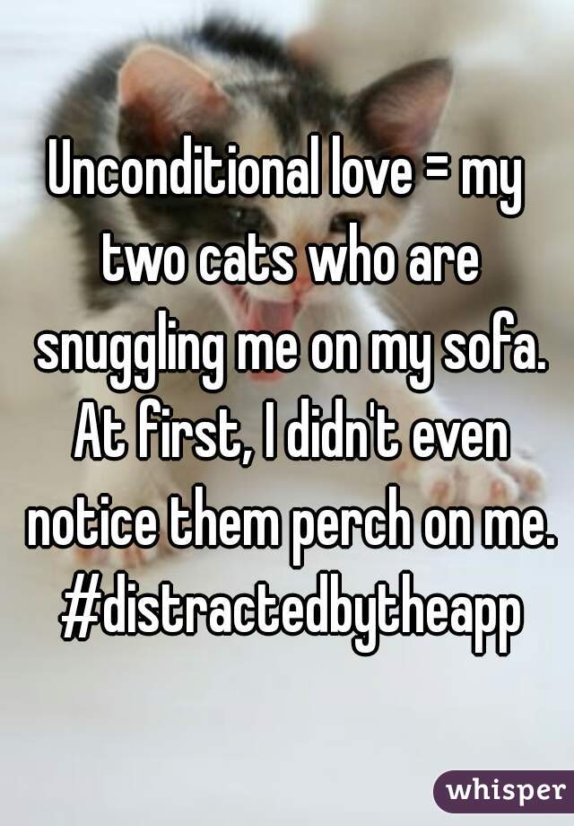 Unconditional love = my two cats who are snuggling me on my sofa. At first, I didn't even notice them perch on me. #distractedbytheapp