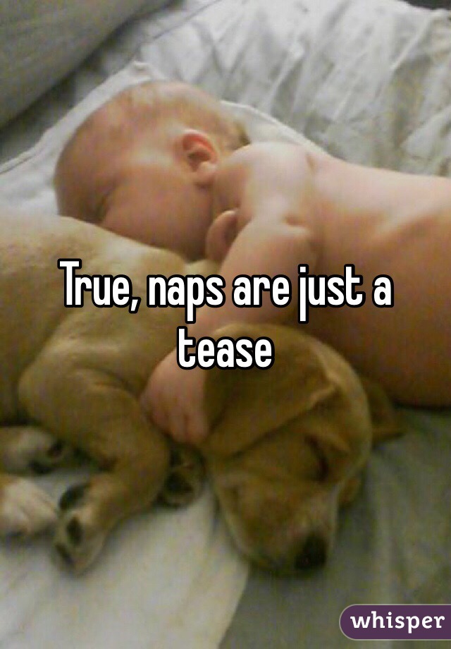 True, naps are just a tease