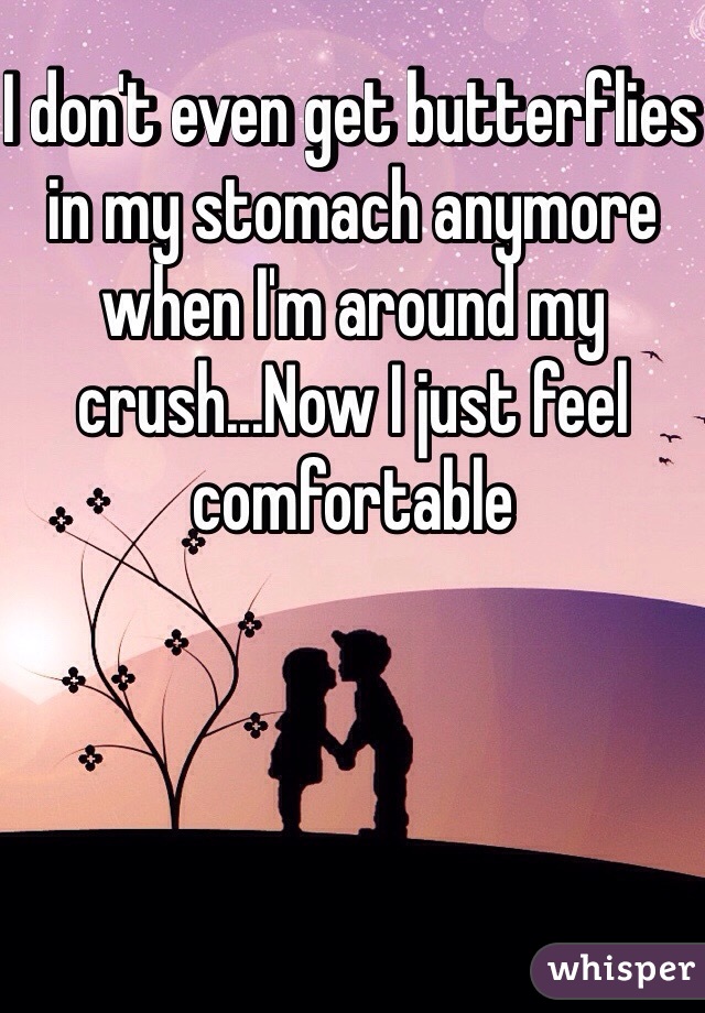 I don't even get butterflies in my stomach anymore when I'm around my crush...Now I just feel comfortable 