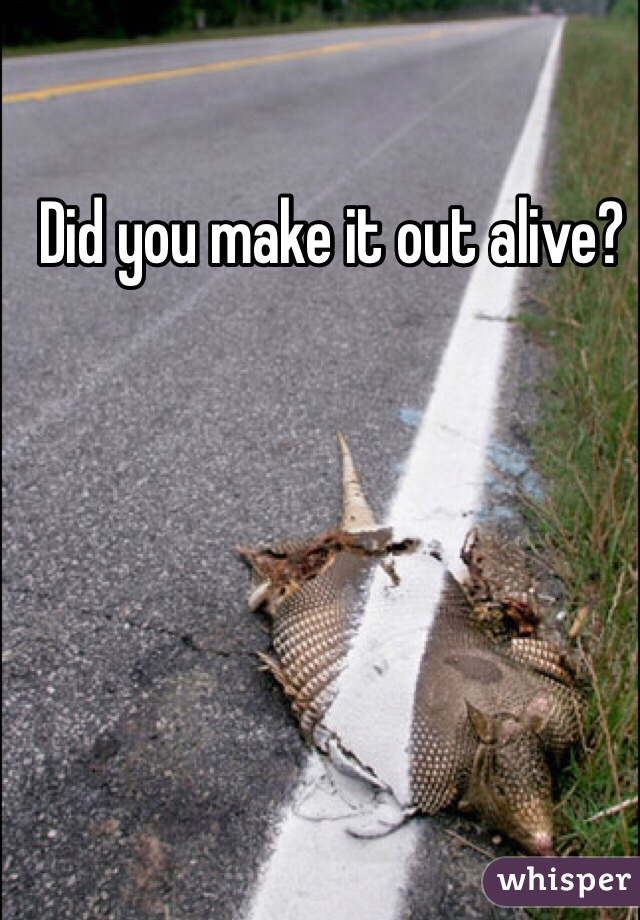 Did you make it out alive?