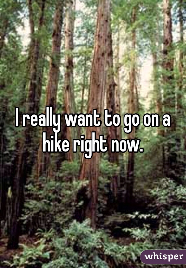 I really want to go on a hike right now.