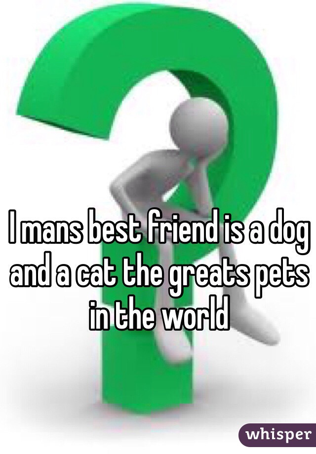 I mans best friend is a dog and a cat the greats pets in the world