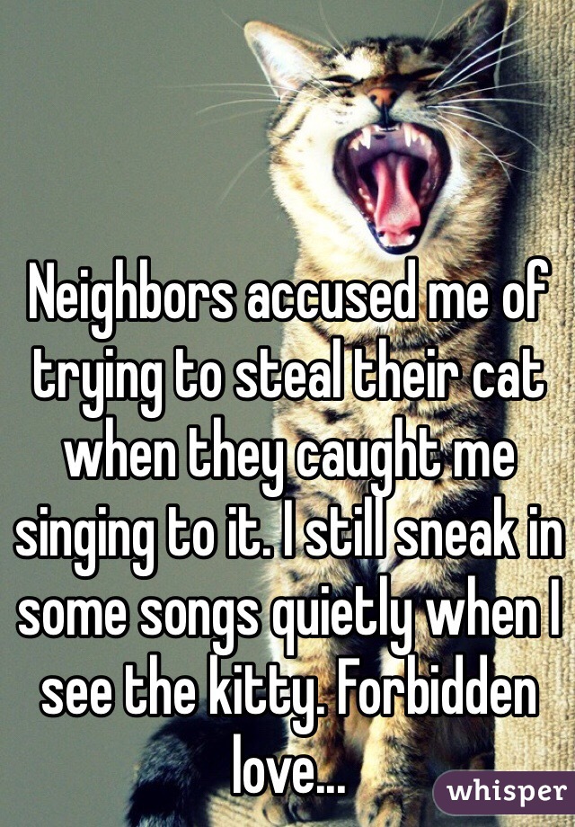 Neighbors accused me of trying to steal their cat when they caught me singing to it. I still sneak in some songs quietly when I see the kitty. Forbidden love...